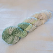 Load image into Gallery viewer, Cow Parsley