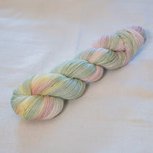 Load image into Gallery viewer, Rosa Canina