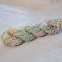 Load image into Gallery viewer, Rosa Canina