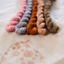 Load image into Gallery viewer, Robin Embroidery Kit PRE ORDER