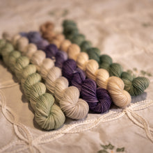 Load image into Gallery viewer, Snowdrops & Hellebores Mini Skeins