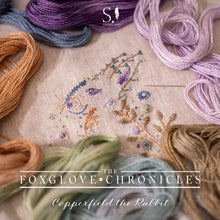 Load image into Gallery viewer, Copperfield the Rabbit Embroidery Kit PRE ORDER

