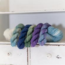 Load image into Gallery viewer, Blue Pirouette Clematis Bouquet
