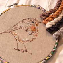 Load image into Gallery viewer, Robin Embroidery Kit
