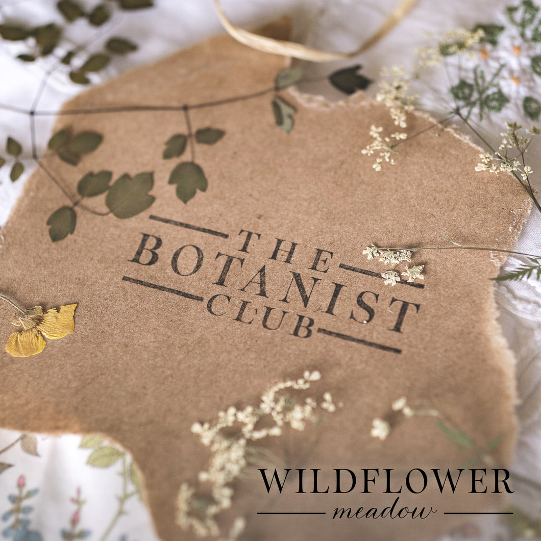 The Botanist Club - Wildflower Meadow