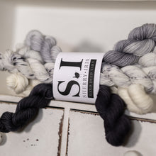 Load image into Gallery viewer, Pied Wagtail Mini Skeins
