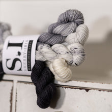 Load image into Gallery viewer, Pied Wagtail Mini Skeins
