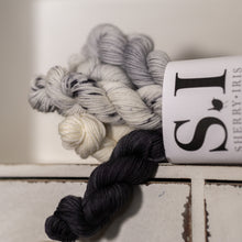 Load image into Gallery viewer, Pied Wagtail Mini Skeins
